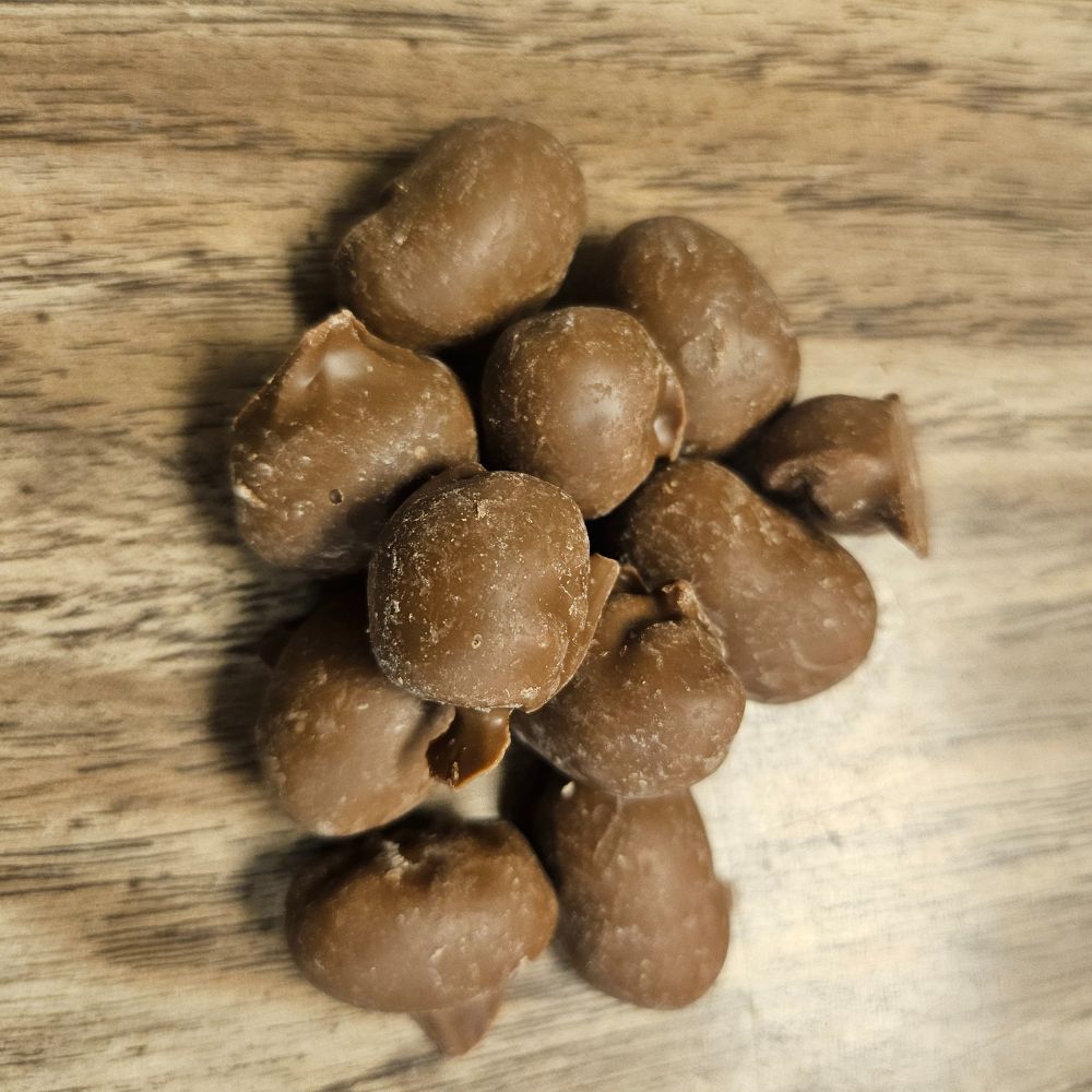 Milk Chocolate Peanuts